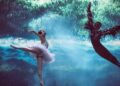 El Lago de los Cisnes en la Sala Argenta del palacio de festivales