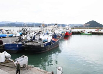 Flota Pesquera