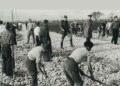 trabajo esclavo posguerra franquista