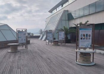 Exposición sobre biodiversidad marina en el Museo Marítimo del Cantábrico