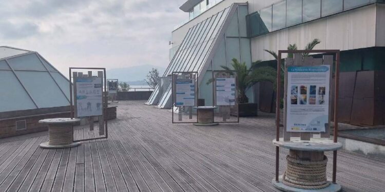 Exposición sobre biodiversidad marina en el Museo Marítimo del Cantábrico