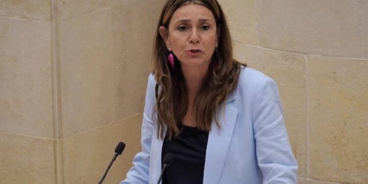 Parlamento de Cantabria en debate sobre financiación autonómica