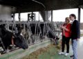 Ayudas al bienestar y sanidad animal