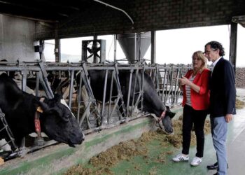 Ayudas al bienestar y sanidad animal