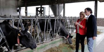 Ayudas al bienestar y sanidad animal