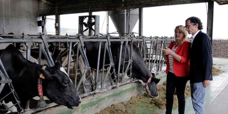 Ayudas al bienestar y sanidad animal