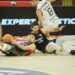 Grupo alega Cantabria