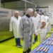 Sector agroalimentario innovador