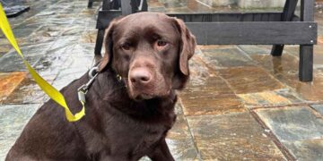 Kiara Unidad Canina Torrelavega