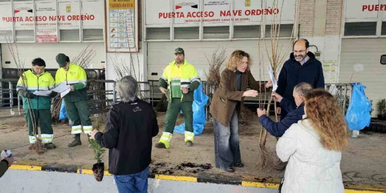 Campaña del Árbol