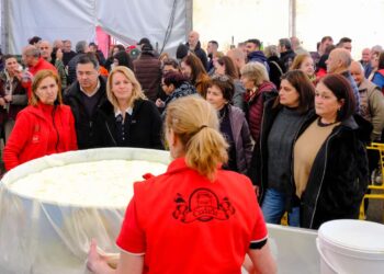 Elaboración de queso en la feria de la leche de Ruiloba