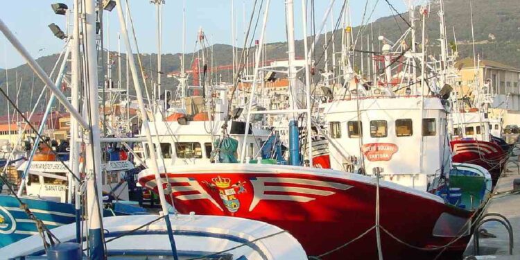 Pesqueros amarrados tras la cuota verdel provisional