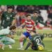 racing cae en el estadio Nuevo Los Cármenes