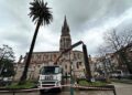Retirada por seguridad una de las palmeras de La Asunción