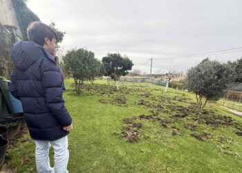 Jabalíes en Torres, Duález y Caseríos