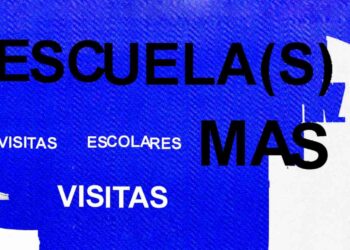 Visitas escolares al MAS