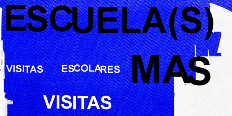 Visitas escolares al MAS