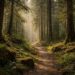 Reconocimiento trabajadores forestales CSIF Día Bosques