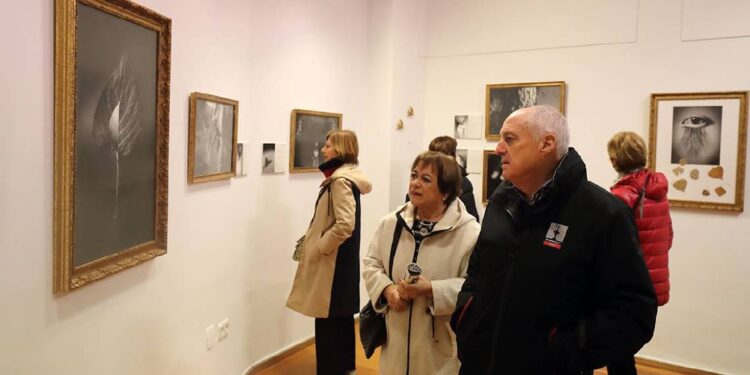 Exposición Femenino Plural