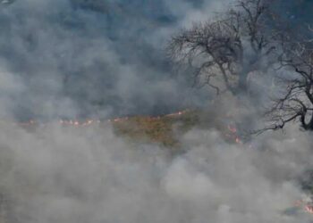 Incendios forestales en Cantabria