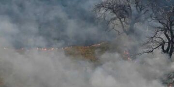 Incendios forestales en Cantabria