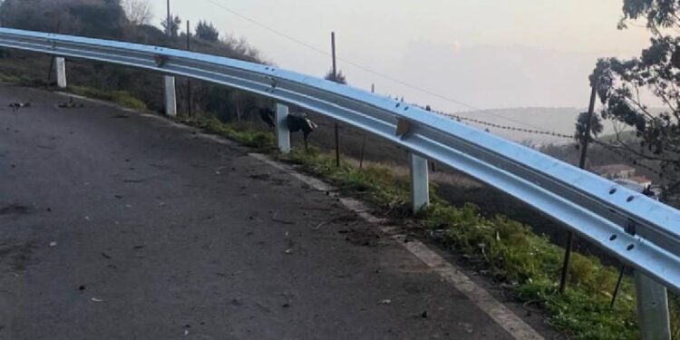 Seguridad vial reforzada en la Vioña