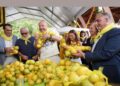 Fiesta Limones solidarios