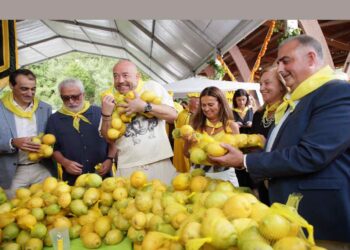 Fiesta Limones solidarios