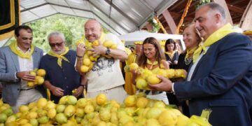 Fiesta Limones solidarios