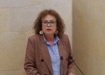 Teresa Noceda en una comparecencia sobre enseñanzas artísticas