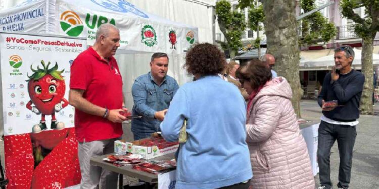 UPA Andalucía