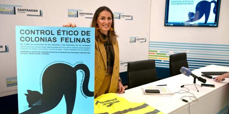 Colonias felinas Santander