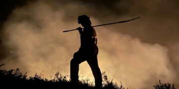 Incendios Forestales siguen activos