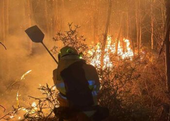 Incendios forestales activos