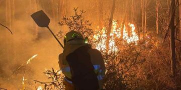 Incendios forestales activos