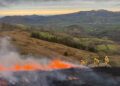 Incendios Forestales