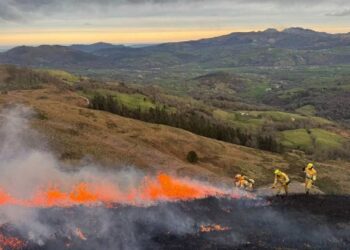 Incendios Forestales