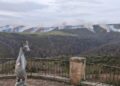Incendios forestales Cantabria