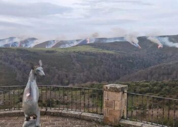 Incendios forestales Cantabria