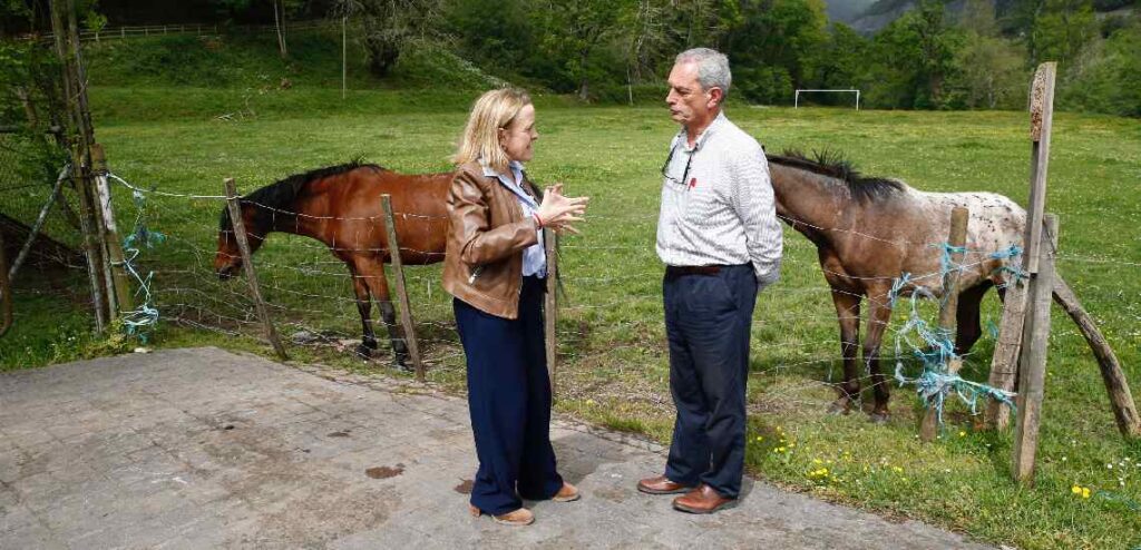 Nuevas inversiones en Rionansa