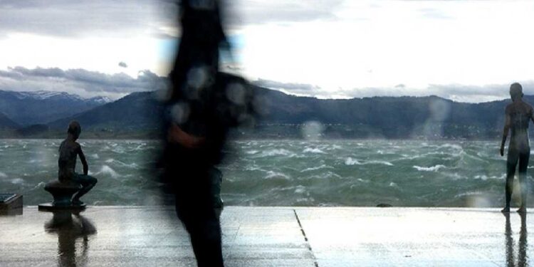 Meteocant