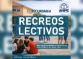 ANPE vigilancia recreos lectiva