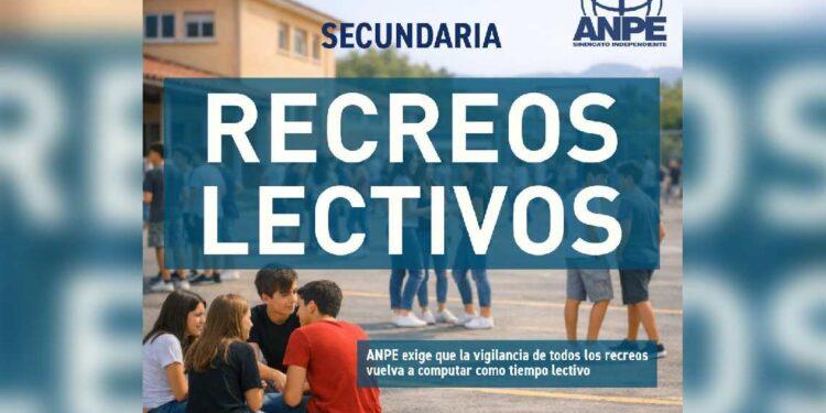 ANPE vigilancia recreos lectiva