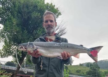 Capturado el 'campanu' de Cantabria en aguas del río Nansa