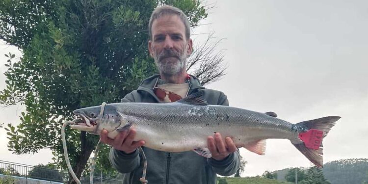 Capturado el 'campanu' de Cantabria en aguas del río Nansa