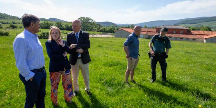helisuperficie en la Hermandad de Campoo de Suso 