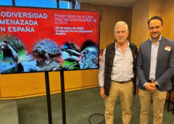 conservación del oso pardo