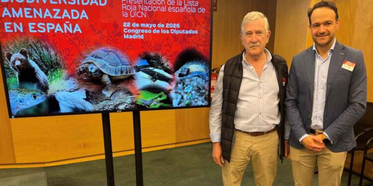 conservación del oso pardo