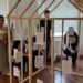 Premios Gaudeamus PROJECTA ,