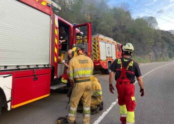 Simulacro de incendios forestales